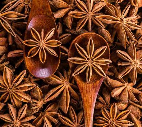 Aceite esencial de anis: propiedades, usos y beneficios aceite esencial de anis para la piel