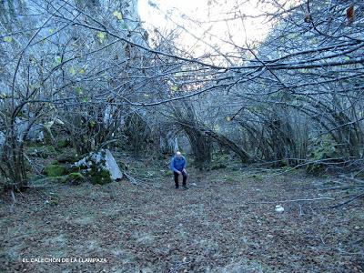Fresnéu-El Calechón de la L.lampaza-Vaul.léu-Penal.lobal-Los Fuexos
