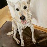 Artista potosina realiza pinturas de animales rescatados Artista potosina realiza pinturas de animales rescatados