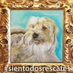 Artista potosina realiza pinturas de animales rescatados Artista potosina realiza pinturas de animales rescatados