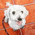 Artista potosina realiza pinturas de animales rescatados Artista potosina realiza pinturas de animales rescatados