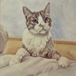 Artista potosina realiza pinturas de animales rescatados Artista potosina realiza pinturas de animales rescatados