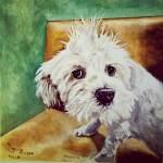 Artista potosina realiza pinturas de animales rescatados Artista potosina realiza pinturas de animales rescatados