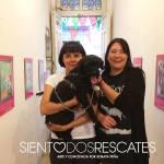 Artista potosina realiza pinturas de animales rescatados Artista potosina realiza pinturas de animales rescatados