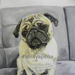 Artista potosina realiza pinturas de animales rescatados Artista potosina realiza pinturas de animales rescatados