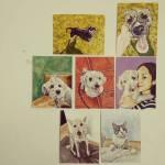 Artista potosina realiza pinturas de animales rescatados Artista potosina realiza pinturas de animales rescatados