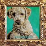 Artista potosina realiza pinturas de animales rescatados Artista potosina realiza pinturas de animales rescatados