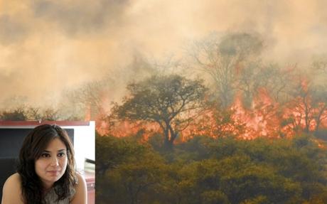 Aún en llamas, no existe plan de manejo para la Sierra de San Miguelito