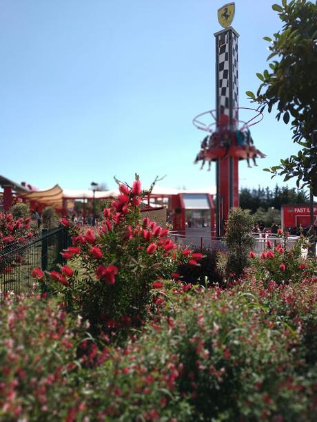 PLANTAS COLOR ROJO FERRARI