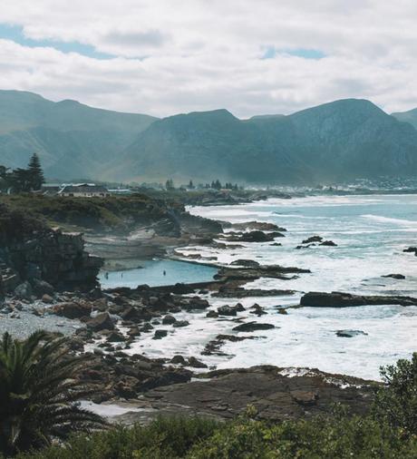 ▷ ¿Por qué debería visitar Sudáfrica en el invierno? wild-11 ▷ ¿Por qué debería visitar Sudáfrica en el invierno?