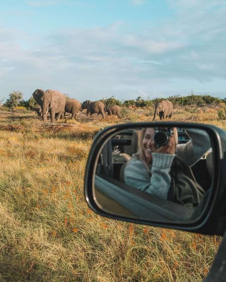 ▷ ¿Por qué debería visitar Sudáfrica en el invierno? DSCF9779 ▷ ¿Por qué debería visitar Sudáfrica en el invierno?