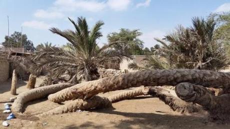 Cachiche, brujería en el Perú