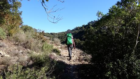 Ruta circular desde el aparcamiento de la Alzina del Salari | Sant Llorenç del Munt Ruta circular desde el aparcamiento de la Alzina del Salari | Sant Llorenç del Munt