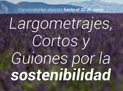 Abiertas convocatorias largometrajes, cortometrajes guiones Another Film Festival