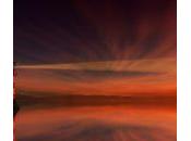 Primer Analytics Lane