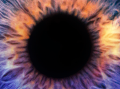 Analizamos “Impulso”, nuevo MARES.