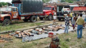 UN DIA COMO HOY LA MASACRE DE BOJAYÁ, COLOMBIA