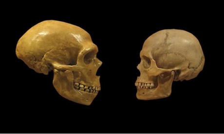 “La última neandertal”, de Claire Cameron “La última neandertal”, de Claire Cameron