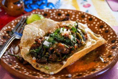 things-to-do-in-mexico-city-Food-Tour ▷ Comenta en 22 de las mejores cosas que hacer en la Ciudad de México por Rucha Konta