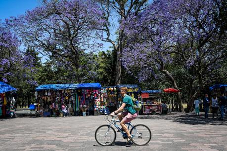 mexico-city-activities ▷ Comenta en 22 de las mejores cosas que hacer en la Ciudad de México por Rucha Konta
