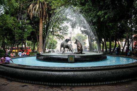 mexico-city-guide ▷ Comenta en 22 de las mejores cosas que hacer en la Ciudad de México por Rucha Konta