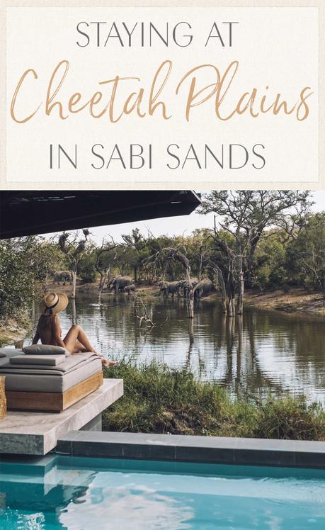 SABI-SANDS ▷ Alojarse en Cheetah Plains en Sabi Sands