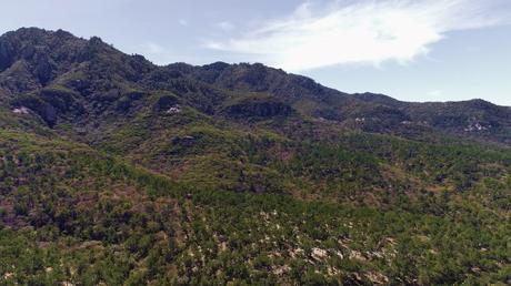 Llaman a los potosinos a defender y reforestar la Sierra de San Miguelito