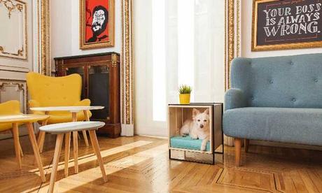 Hay quienes piensan que el orden y una decoración de buen...