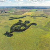 Vista aérea del caliz de Florida