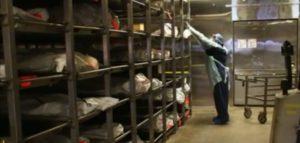 CURIOSIDADES ACERCA DE LA MUERTE