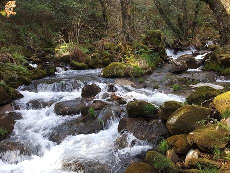 Senderismo en el río Tambre (Noia)