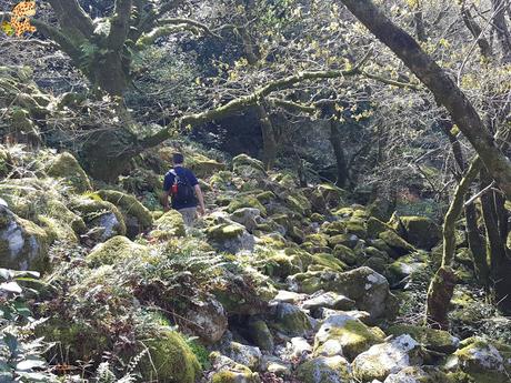 Senderismo en el río Tambre (Noia)