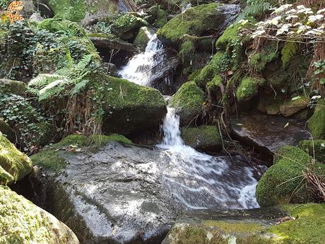 Senderismo en el río Tambre (Noia)