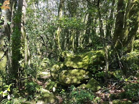 Senderismo en el río Tambre (Noia)