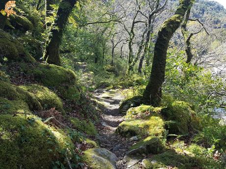 Senderismo en el río Tambre (Noia)
