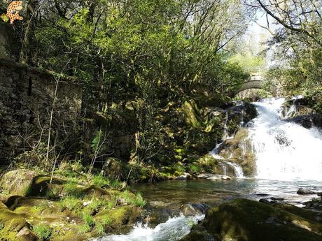 Senderismo en el río Tambre (Noia)