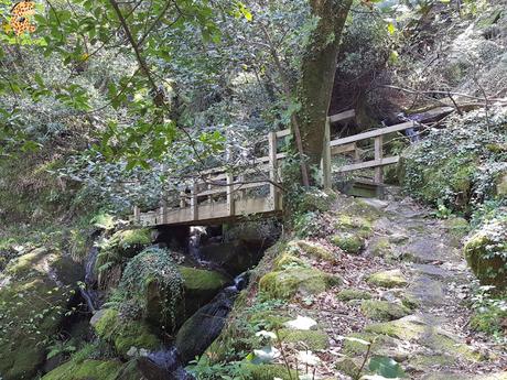 Senderismo en el río Tambre (Noia)