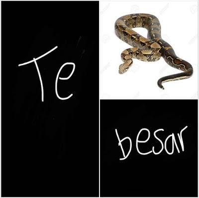 ¿Es serpiente, culebra o víbora?