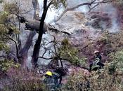 aeronave atizapán zaragoza; lamentablemente muere piloto