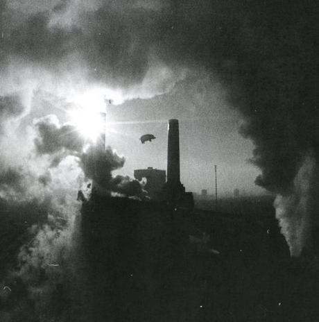 Pink Floyd - Animals (1977) (Remastered Edition 1994)