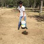 Ciudadanos reforestaron el Parque de Morales