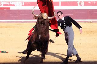 TODOS LOS ACARTELADOS A HOMBROS EN LUCENA TODOS LOS ACARTELADOS A HOMBROS EN LUCENA
