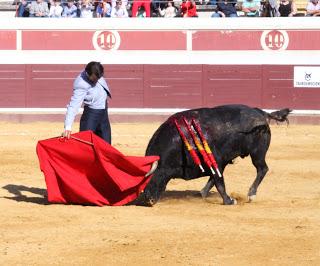 TODOS LOS ACARTELADOS A HOMBROS EN LUCENA TODOS LOS ACARTELADOS A HOMBROS EN LUCENA