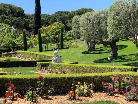 Parque Cervantes. Un mar de rosas.