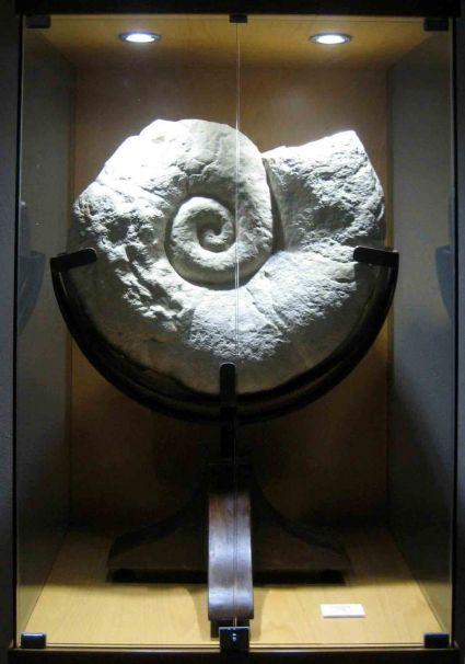 El reloj hemisférico romano de Calasparra