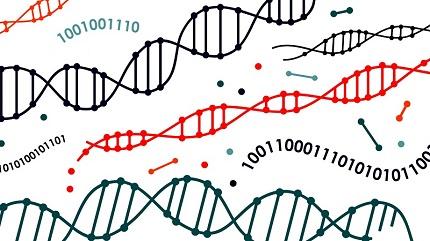 ¿El retorno de los algoritmos genéticos?