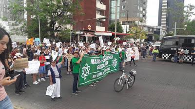 Marcha por la Ciencia. Algunas reflexiones