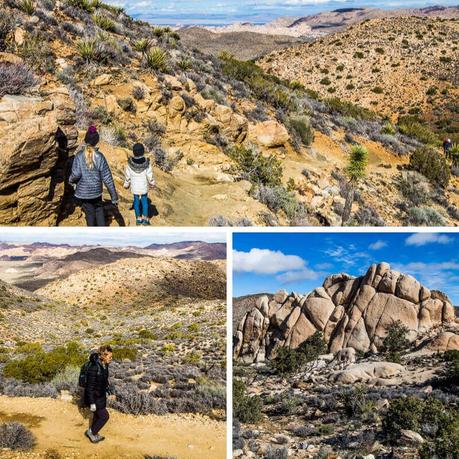 ▷ 8 cosas increíbles para hacer en el Parque Nacional Joshua Tree, California ryan-mountain-trail-joshua-tree-np-1 ▷ 8 cosas increíbles para hacer en el Parque Nacional Joshua Tree, California
