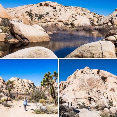 barker-dam-joshua-tree-national-park-1 ▷ 8 cosas increíbles para hacer en el Parque Nacional Joshua Tree, California