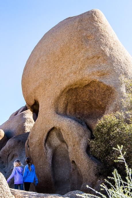 skull-rock-joshua-tree-national-park-1 ▷ 8 cosas increíbles para hacer en el Parque Nacional Joshua Tree, California